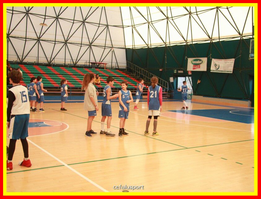 190209 basket 005_tn.jpg